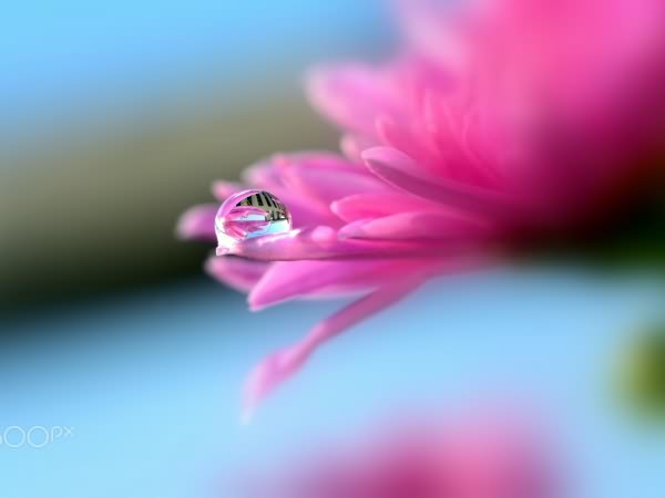 佛山市科桌科技有限公司網(wǎng)站全新改版！！